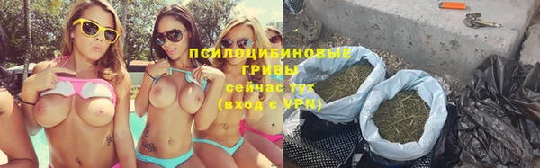 прущие грибы Баксан