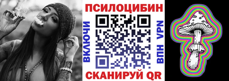 Галлюциногенные грибы Psilocybine cubensis Высоковск